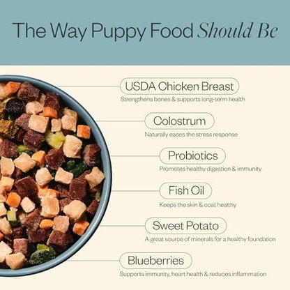 Maev Human-Grade Frozen Fresh Chicken Puppy Food, 10 lb