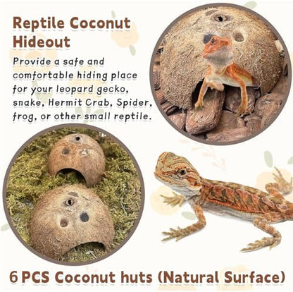PINVNBY Natural Coconut Reptile Hideouts Lizard, Coco Hut Hermit Crab Hut Aquarium Fish Hide Cave for Small Reptile Crested Gecko Leopard Gecko Spider Snail Climber Toys (6 PCS Natural Surface)