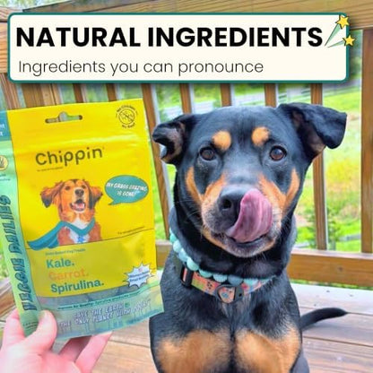 Chippin Healthy Dog Treats, All Natural Crunchy Biscuits with Real Spirulina, Kale, Oats, No Meat, Hypoallergenic, Vegan Treats for Puppy, Small, Large Dogs, 2 Pack