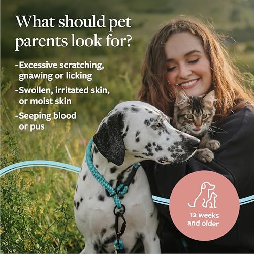 Veterinary Formula Clinical Care Hot Spot & Itch Relief Pet Shampoo, 16 oz