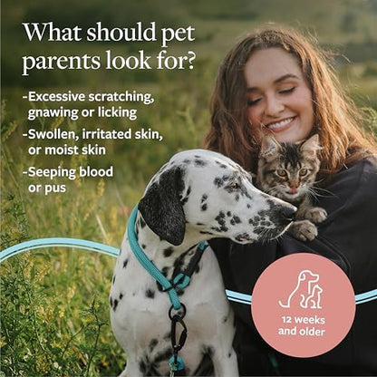 Veterinary Formula Clinical Care Hot Spot & Itch Shampoo, 16 oz, 2-Pack