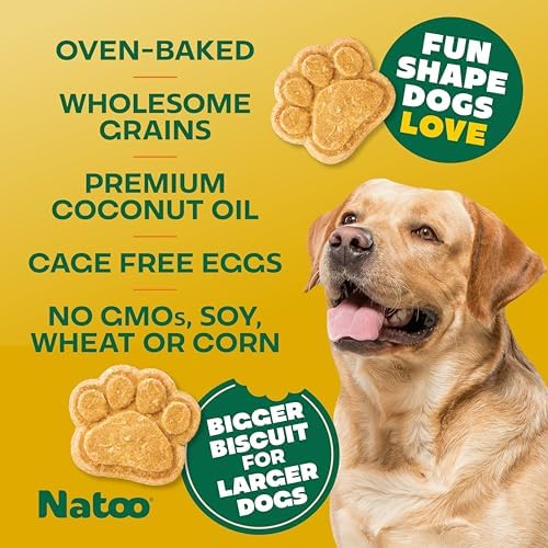 NATOO Healthy Treats for Large Dogs, Coconut & Mango Flavor, 8 oz