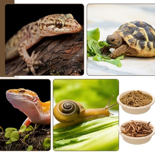 Maxcheck 500 Pcs Paper Gecko Feeding Cups 1 oz Food and Water Bowls Small Reptile Feeding Ledge Replacement Cup Dish Bowl Ledge Accessories for Gecko Lizards Spiders Small Pet