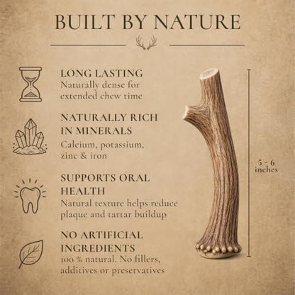 WhiteTail Naturals 6 Pack Whole Deer Antlers for Dogs, Small 4-6 Inch