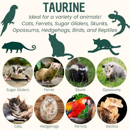 Taurine Powder | Food Topper for Heart, Vision & Daily Wellness | Amino Acid Supplement for Small & Large Pets
