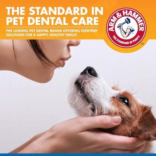 Arm & Hammer Clinical Care Dental Rinse for Dogs, 16 Fl Oz, 2-Pack