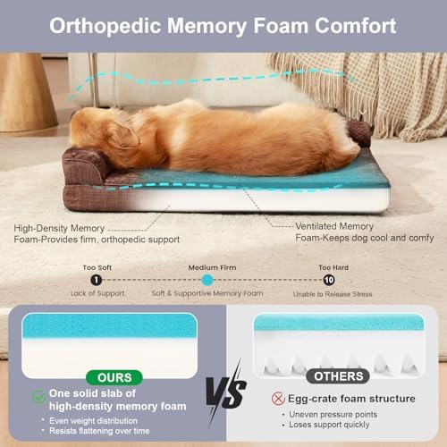 Rainmr Waterproof Dog Bed for Small Dogs - Orthopedic Memory Foam Puppy Couch Sofa, Removable Cover & Anti-Slip Bottom, 36x27 Inches, Brown