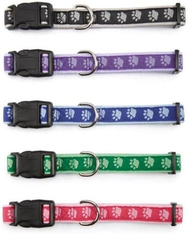 Guardian Gear Nylon Two-Tone Pawprint Dog Collar, Fits Necks 6" to 10", Black
