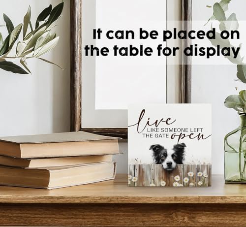 Live like Someone Left the Gate Open Border Collie Wooden Signs,Farm Cottagecore Animal Office Kitchen Bedroom Decor,Rustic Farmhouse Home Decor Signs,Border Collie Gifts for Women