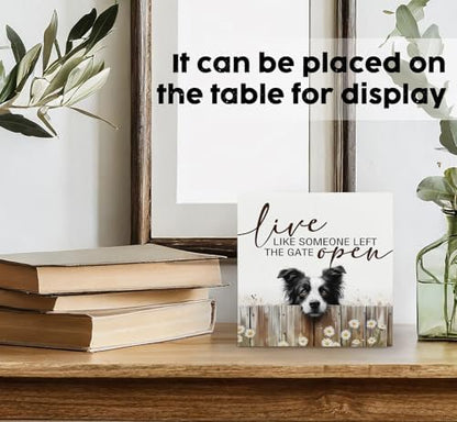 Live like Someone Left the Gate Open Border Collie Wooden Signs,Farm Cottagecore Animal Office Kitchen Bedroom Decor,Rustic Farmhouse Home Decor Signs,Border Collie Gifts for Women
