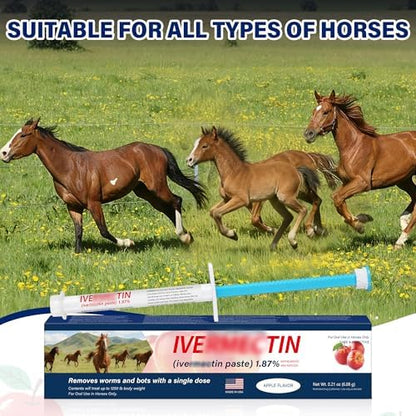 Equine Paste 1.87% – 6 Pack (6.08g) Apple Flavored Oral for Horses
