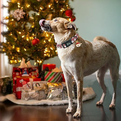 Dog Collars - Adjustable, Durable & Soft Santa Claus Print Collar for Large Dogs