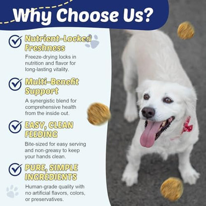 ZEBORA Omega 3 Salmon Fish Oil for Dogs Skin and Coat, 180 Chicken Chews