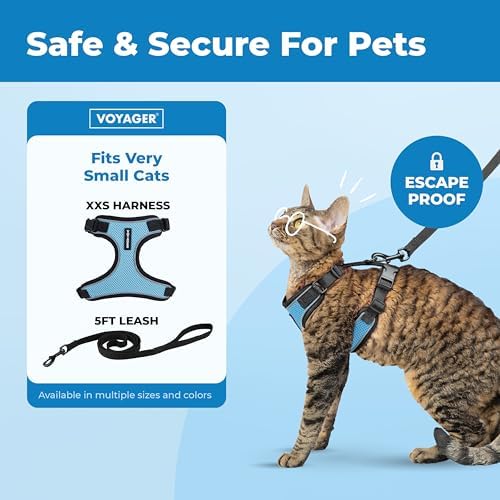 Voyager Escape-Proof Step-in Lock Cat Harness & 5ft Neoprene-Handle Leash Set All-Weather Mesh with Reflective Stitching for Small to Large Cats by Best Pet Supplies, Black Trim-Baby Blue (327), XXS