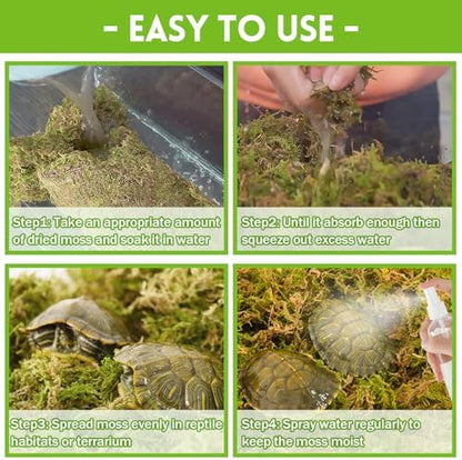 Riare 3.5oz Natural Sphagnum Moss for Reptiles, Terrarium Substrate Bedding