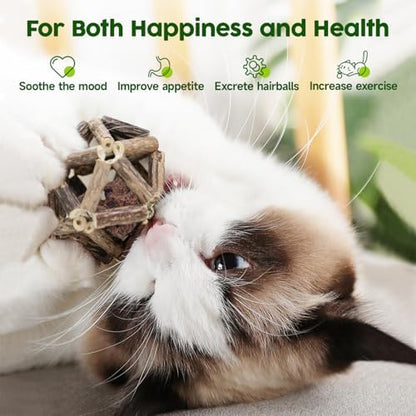 Potaroma Catnip Toys, 3Pcs Cat Toys Natural Silvervine Stick Cage Balls & Bell Ball for Indoor Cats, Kitten Cleaning Teeth Molar Matatabi Cat Chew Toy All Breeds