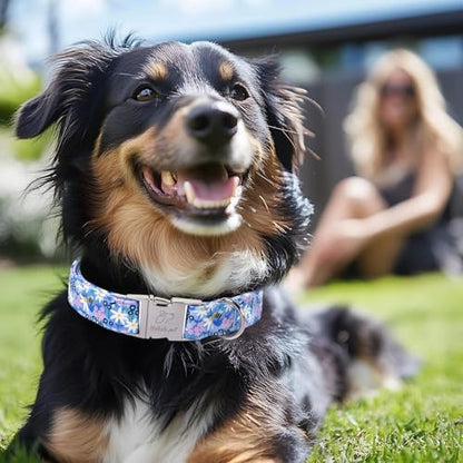 Floral Dog Collar, Cute Blue Wildflowers Dog Collars - Soft Adjustable Spring Summer Everyday Collars for Small Medium Large Dogs, Cottagecore Bloom Dogs Collar M