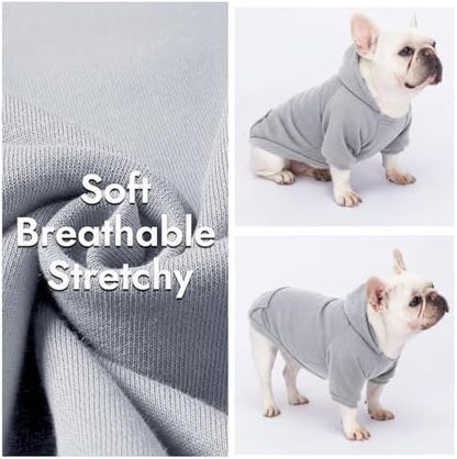 1 Pack Dog Hoodie Warm Hood Dog Sweater Cold Weather Small Dogs Sweatshirt Comfort Pet Clothes for Small Medium Dogs with Pockets Cats Chihuahua Clothes for Male Female Girl Boy Sporty Daily Wear