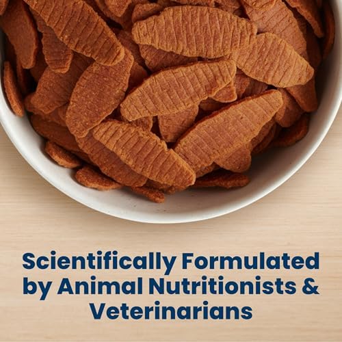 Blue Buffalo Nudges Jerky Cuts Chicken & Duck Dog Treats, 36 oz