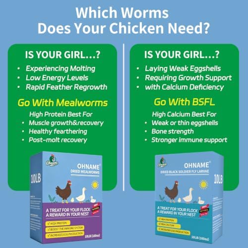 5LB Dried Black Soldier Fly Larvae for Chickens