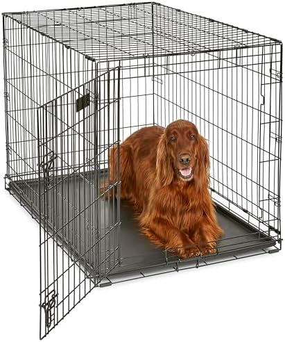 Midwest 42-Inch Single Door iCrate, for Large Breeds, 71-90 lbs