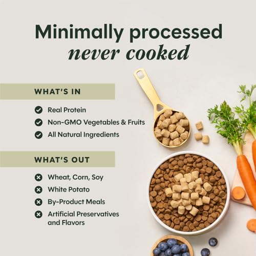 Instinct Raw Boost Mixers Freeze Dried Dog Food Toppers For Dry Food, Grain Free Dog Food Toppers with Beef For Dogs, 14 oz