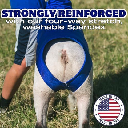Show Pro Blue Spandex Lamb Tube for Show Sheep & Lamb - Show Livestock Supplies: Sheep Covers & Blankets