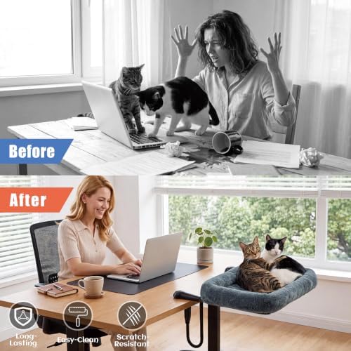 X-Large Cat Desk Bed for Cats 50lbs Extra-Sturdy & Heavy Duty