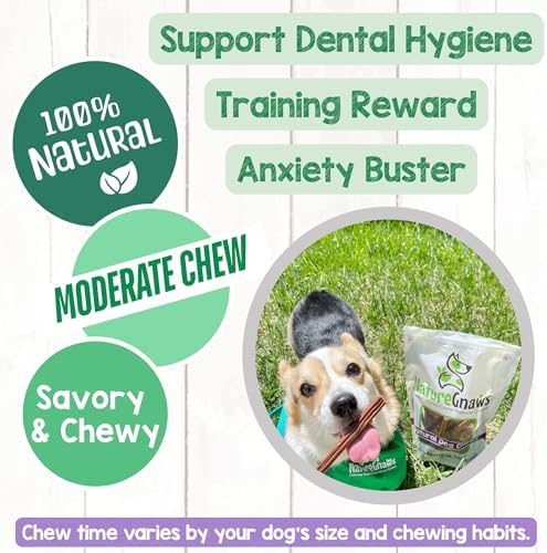 Nature Gnaws Small Bully Sticks 5-6" Rawhide Free Dog Chews, 5 Count