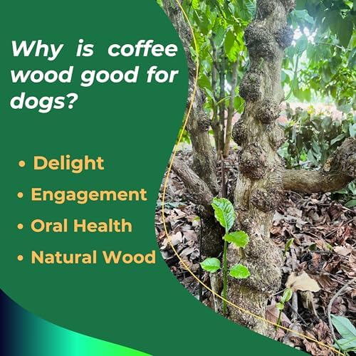 Gorilla Coffee Wood Dog Chew Stick Toy for Dog, Made from Real Coffee Wood, Sticks for Pets, Pets Health, Teeth Cleaning and Relieve Stress (Medium)