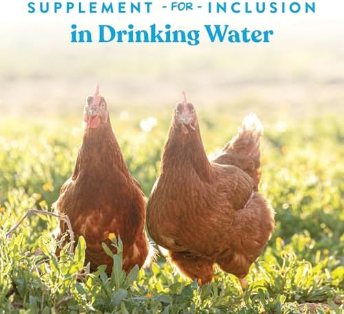 Manna Pro Hydro-Hen Poultry Electrolyte, Digestive & Probiotic, 8 oz