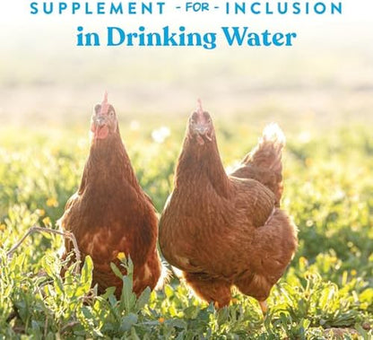 Manna Pro Hydro-Hen Poultry Electrolyte, Digestive & Probiotic, 8 oz