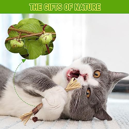 BAWAN Silvervine Sticks Cat Chew Toys for Indoor Cats Dental Care Teeth Cleaning, Natural Kitten & Cat Teething Toys for Health, Cat Chew Stick Suitable for All Breeds of Aggressive Chewers Cat