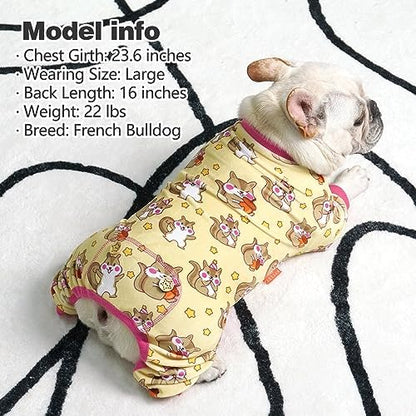 KYEESE Velvet Dog Pajamas for Small Dogs Onesie for Daily Wear, Chipmunk