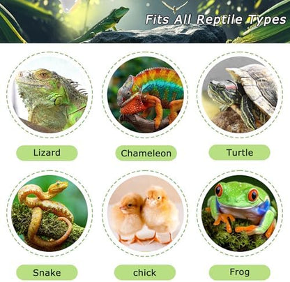 Reptile UVA Daylight Bulb, 75W Natural Sunlight Lamp for Habitats