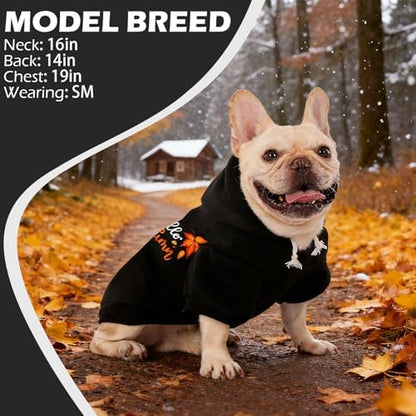 EXPAWLORER Dog Hoodies for Small Medium Large Dogs,Maple Leaf Black S