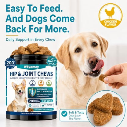 Woyamay Joint Supplement for Dogs, Glucosamine for Dogs,200 Soft Chews