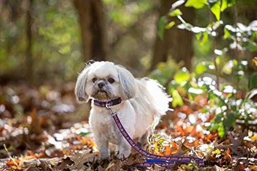 Pets First NHL Colorado Avalanche Leash for Dogs & Cats, Walk Cute & Stylish! The Ultimate Hockey Fan Leash!, Large (6 ft Long x 1 in Width) (AVA-3031-LG)