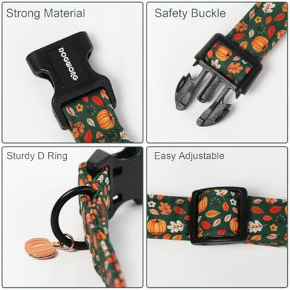 DOGWONG Halloween Pumpkin Dog Collar, Autumn Pumpkin Maple Cute Girl Dog Collar,Girl Boy Dogs Collars for Small Medium Dogs, Neck 11-16 inches