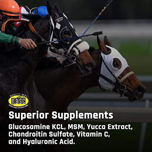Majesty's Flex HA Wafers - Superior Performance Horse/Equine Joint Support Supplement - HA, Vitamin C, Yucca, Glucosamine (Peppermint, 2 Pack (120 Count Total))
