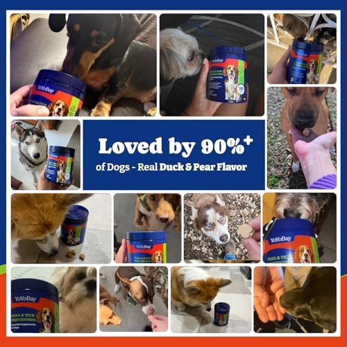 Flea & Tick Prevention for Dogs Chewables,Dog Immune Support Supplement