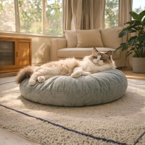 Cat Bed Pillow Cooling Soft Cushion, 20 Inches Small Round Cat Bed, Breathable Flat Pet Bed for Indoor Cats, Washable, Scratch Resistant, Comfortable Cat Bed for Senior Cats
