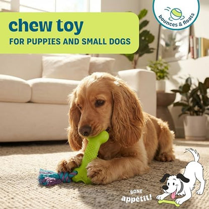 Bone Mini Dog Chew Toy & Treat Stuffer for Teething Puppies & Small Dogs up to 20 lbs, Bounces & Floats, Textured for Dental Support, Moderate Chewers, 5.5" (Pack of 4)