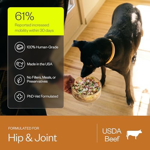 Maev Human-Grade Frozen Fresh Beef Dog Food, Hip & Joint, 5 lb