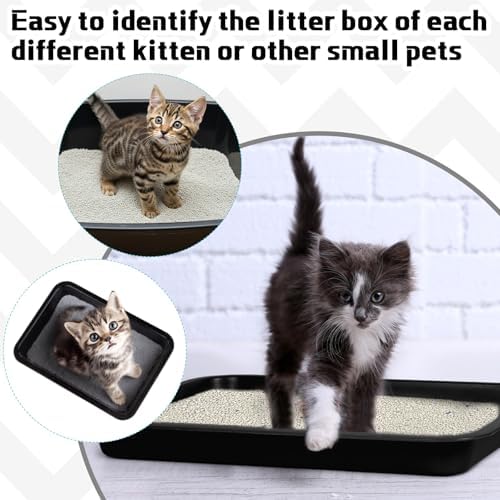 3 Pcs Kitten Litter Pan Black 15.1 x 12 x 1.4 Inch