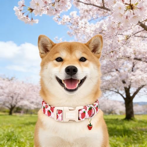 Lionheart glory Dog Collar - Cute Dog Collars Adjustable Soft Dogs Collar Strawberry Flowers Pattern Pet Collars for Small Dogs Male Female Spring Holiday