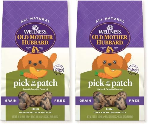 Old Mother Hubbard Wellness Classic Grain Free Pick of the Patch Dog Biscuits, Natural Training Treats, Pumpkin and Carrot Flavor, Mini Size. 16 oz Bag (Pack of 2)