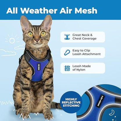 Voyager Escape-Proof Step-in Lock Cat Harness & 5ft Neoprene-Handle Leash Set All-Weather Mesh with Reflective Stitching for Small to Large Cats by Best Pet Supplies, Black Trim-Royal Blue (327), S