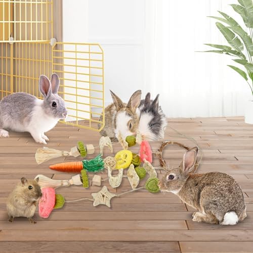 Jorewood Rabbit Chew Toys Bunny Cage Hanging Toy and Treats Rattan Ring with Snacks for Rodent Pets Teeth Healthy