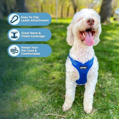 Voyager Step-in Flex Adjustable Dog Harness - Royal Blue, Small